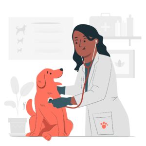 an illustration of a veterinarian examining a happy dog