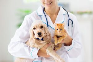 a veterinarian holding a puppy and a kitten